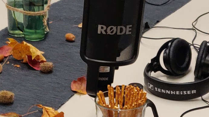 Auf einem Tisch stehen Salzstangen, ein Mikrofon und Kopfhörer.